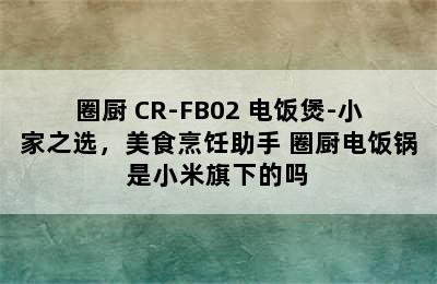 QCOOKER/圈厨 CR-FB02 电饭煲-小家之选，美食烹饪助手 圈厨电饭锅是小米旗下的吗